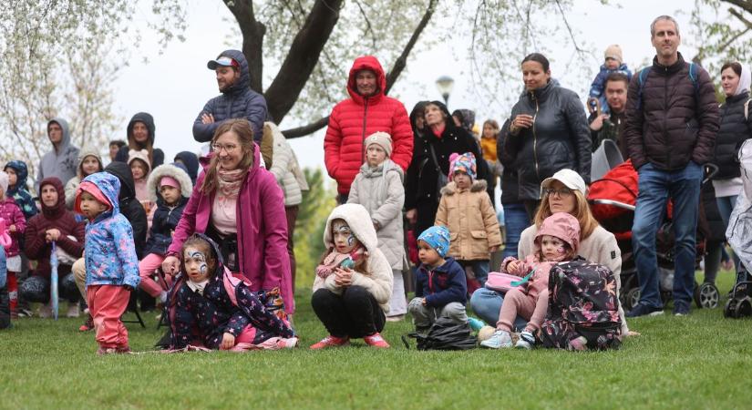 Tettyei Piknik: a hűvös idő és az eső sem riasztott el senkit (GALÉRIA)
