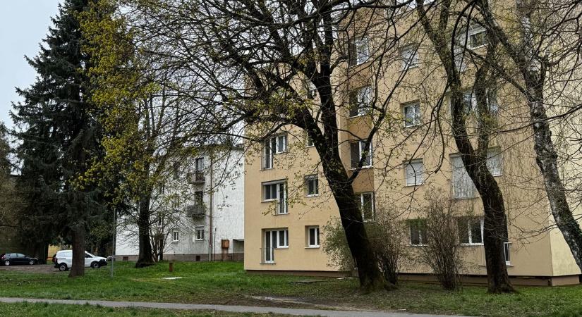 Kiadó lakást keresel a zalai városban? Íme az 5 legjobb ajánlat az ingatlanpiacon