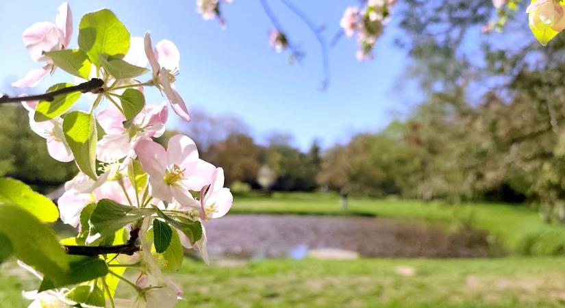 Újabb fordulat a tavaszban: vajon mikor érkezik a jóidő?