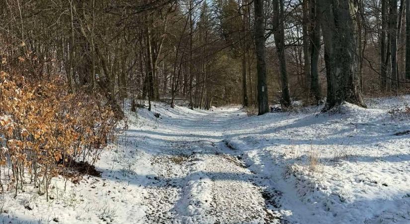 Se tréfa, se nyalás, se fogalom, kilátás annál inkább!