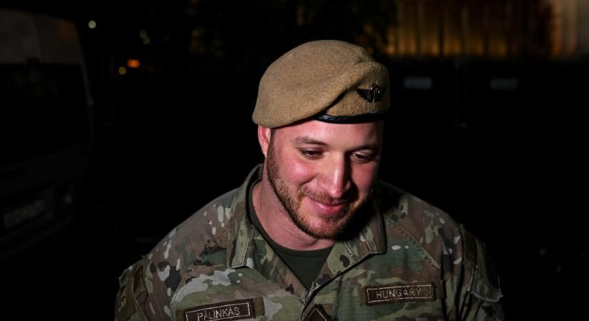 Zebra és ennyi – életképek a koncert hajrájára ráfordulva