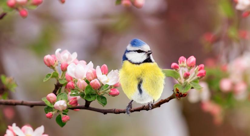 Lassan, de biztosan! Ismét jön a fordulat az időjárásban