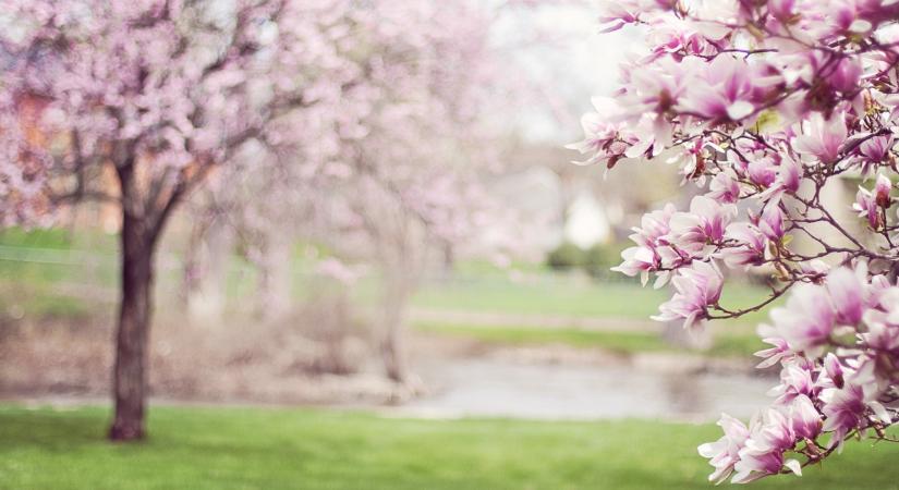 Még farkasszemet nézünk a fagyokkal, de már kopogtat a 20 fok