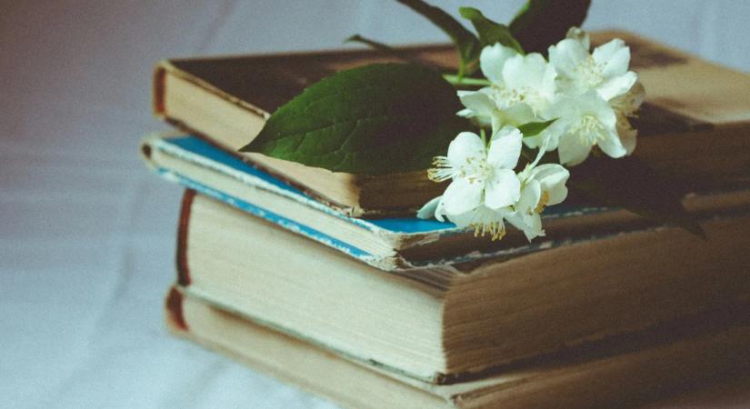 A magyar irodalom tragikus sorsú zsenije: ezért ünnepeljük április 11-én a magyar költészet napját