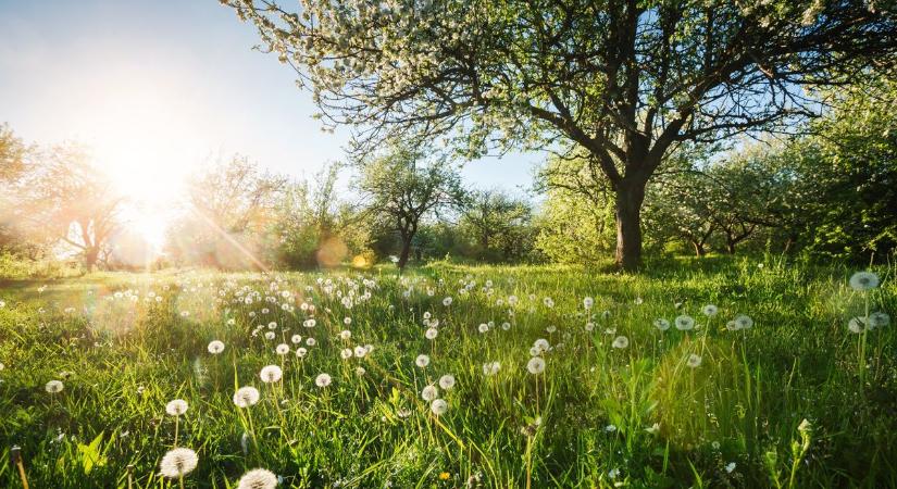 Hétvégi időjárás: Változékony, de egyre barátságosabb