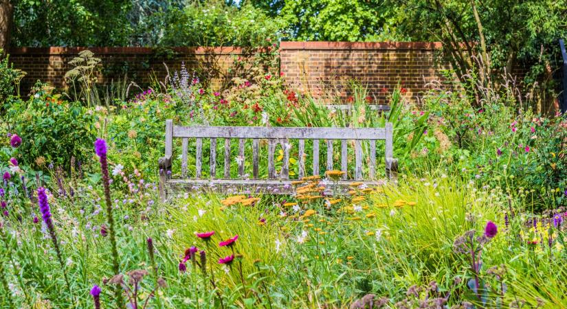 A legjobb, amit a kerteddel tehetsz: erőfeszítés nélkül töltheted meg színekkel és élettel
