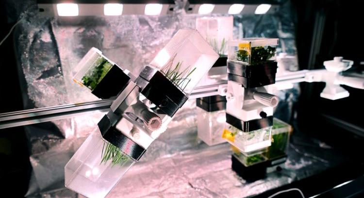 Amit az űrkertészet üzen a mezőgazdaságnak