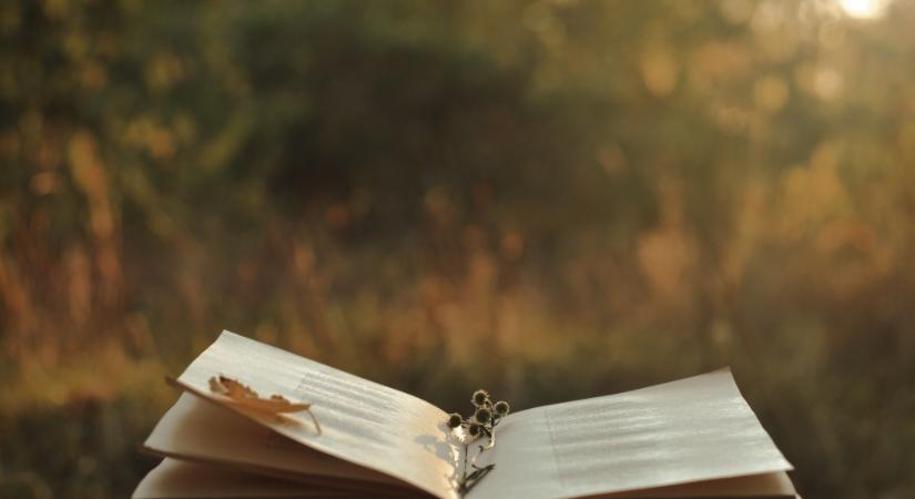 Békés sziget, állandó harc vagy önfeladás-e a szerelem?