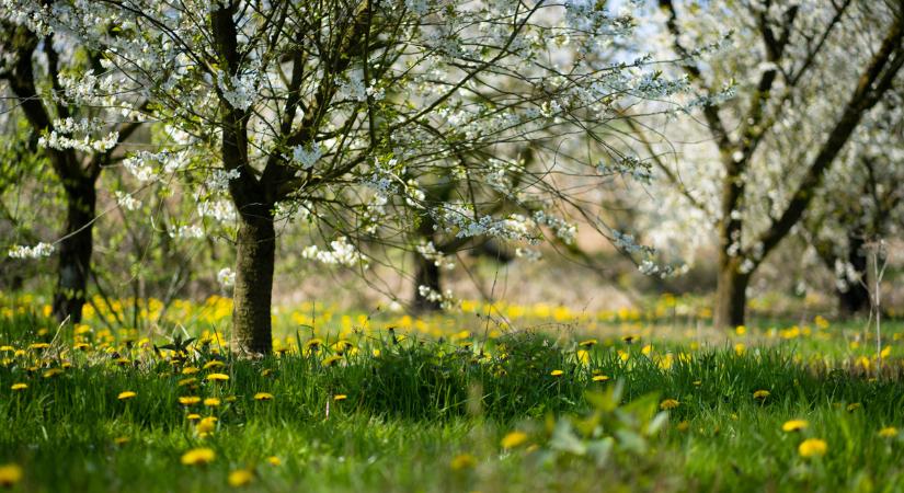 Durva időjárási hullámvasút: felhők, szél és meglepő felmelegedés csap le