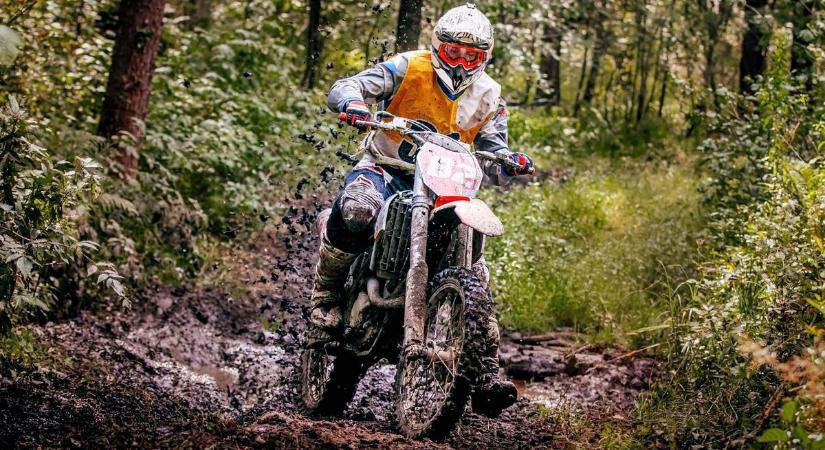 Motorososok és quadosok okoznak komoly károkat a kisalföldi erdőkben