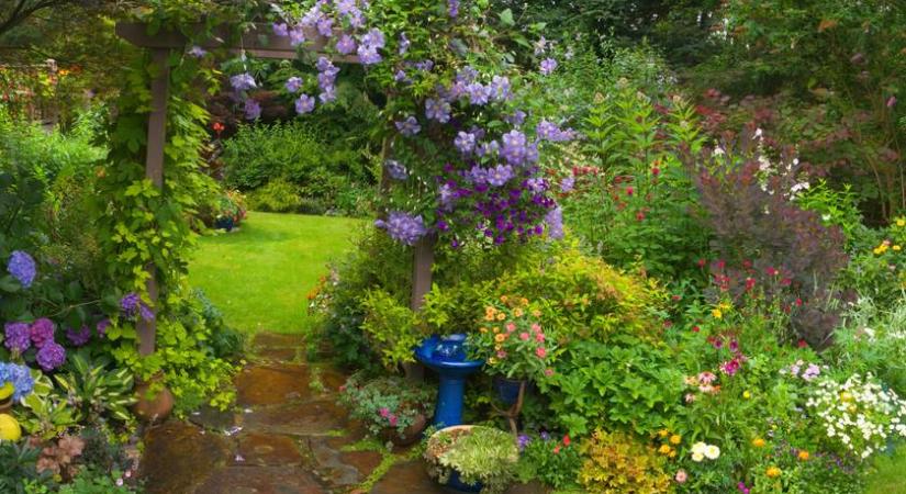 6 árnyéktűrő évelő virág, ami feldobja a kertet: mutatjuk, hogyan gondozd őket