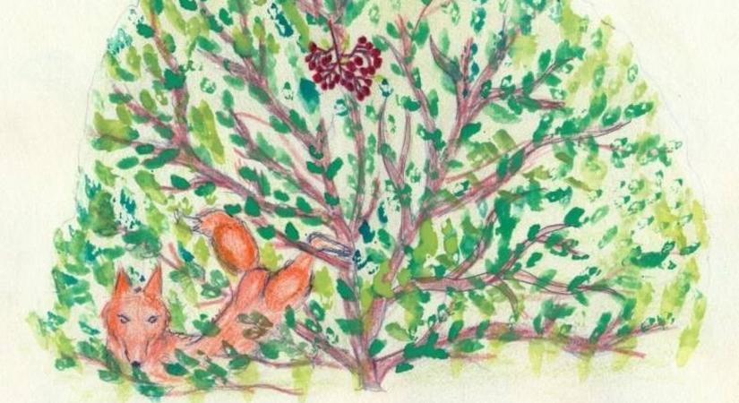 Jó pozícióban, a könyvbe kerülés küszöbén a balástyai mese