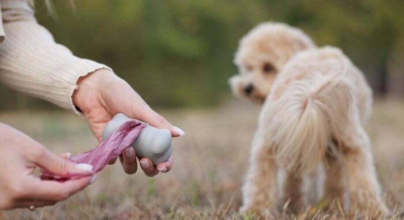 Az önkiszolgáló kassza sok bosszúságot okoz, és a kutyásokra is van panasz