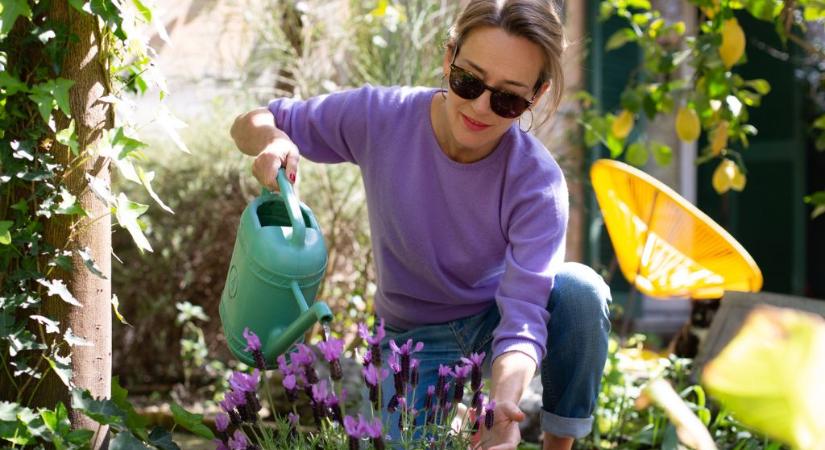 A kertész szerint ezt sokan túl korán csinálják tavasszal