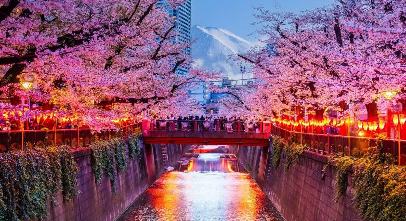 Holdi naperőművel oldaná meg Japán a globális energiaválságot