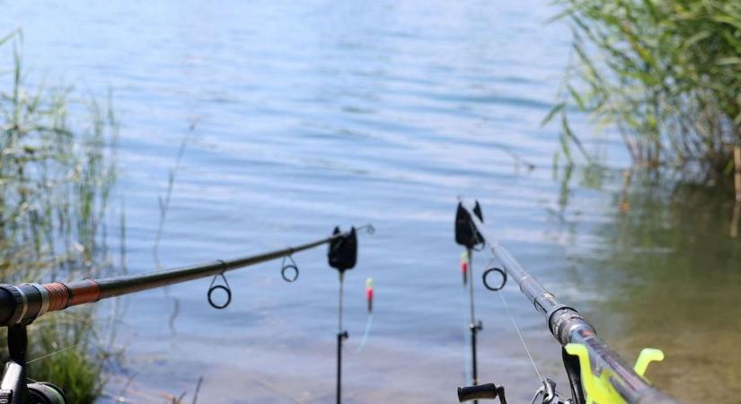 Retteghetnek a zsinórok: Megérkeztek a 150 kilós tokóriások!