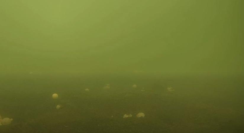 Kamerát tettek a hevesi tó mélyére, ami ezután jött, arra hetek óta vártak – videóval