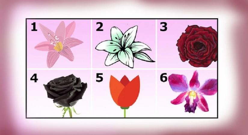 Melyik virág tetszik a legjobban? A válaszod meglepő dolgokat árul el rólad!