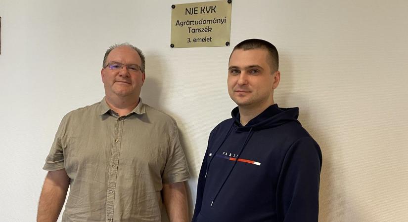 A szőlő aranyszínű sárgaság betegségét kutatják a Neumann János Egyetem laboratóriumában