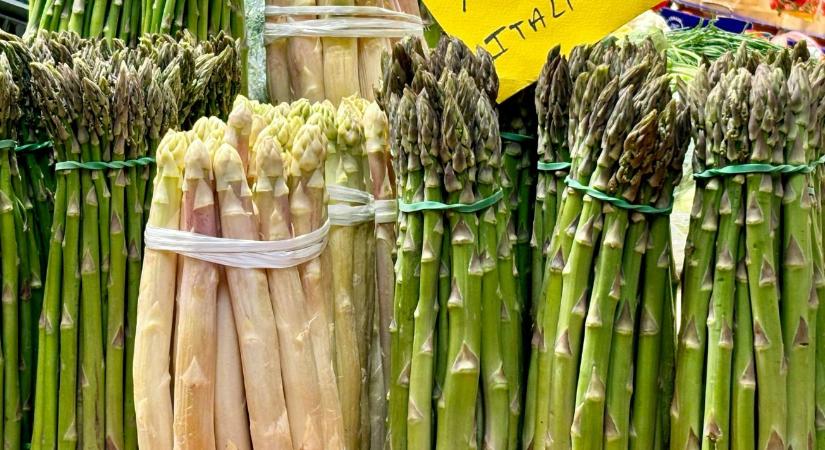 Ez nekünk még jó is lehet: fogy a spárgatermelő Németországban