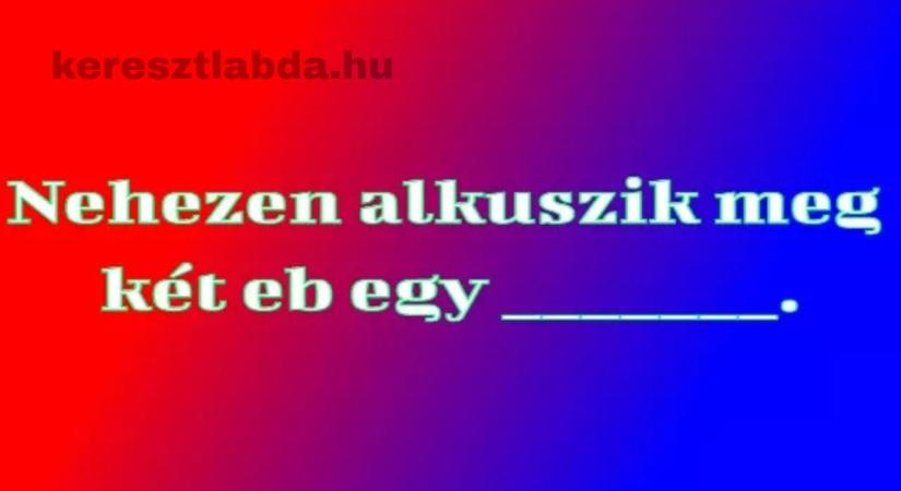 Napi közmondás feladat: Ezt a hiányos mondatot a legtöbben rosszul egészítik ki