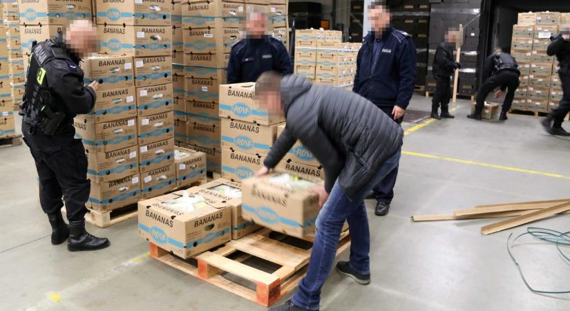 1,6 tonna kokaint találtak egy banánszállítmányban a hamburgi hatóságok