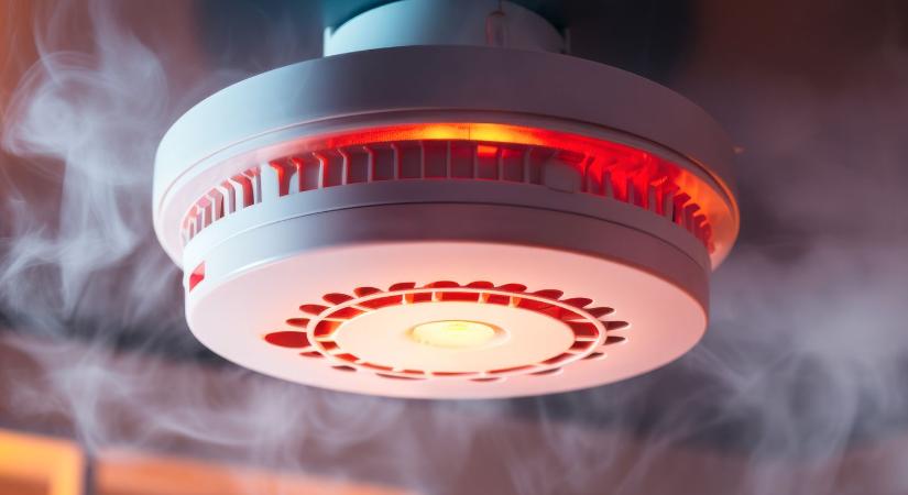 Tűzjelző rendszert cserélne az Aquaticum