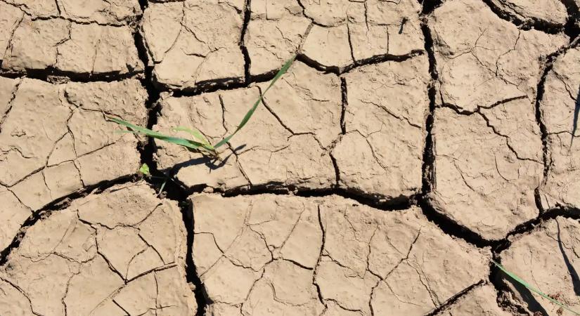 Aszályriadó 2026: Forró nyár és apadó Balaton fenyegeti Magyarországot