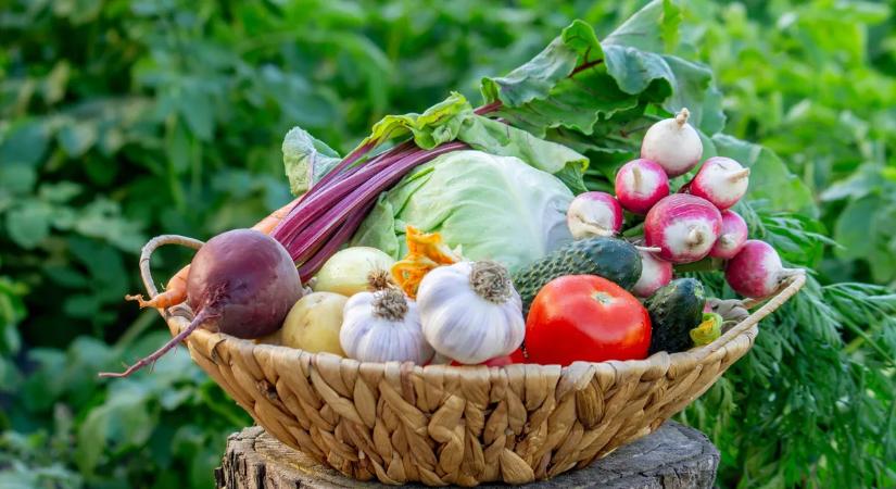 5 tavaszi zöldség, amely természetesen feltölti a vitaminraktáraid