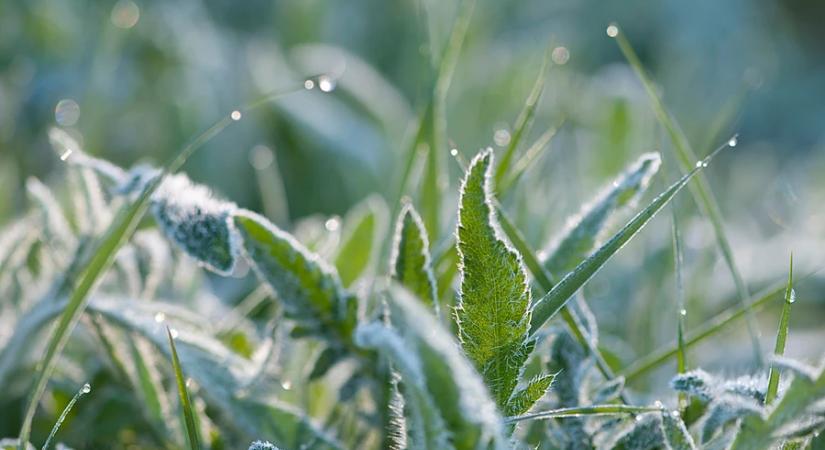 Meteorológia: az előzetes adatok alapján megdőlt a hajnali hidegrekord szombaton