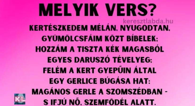 Napi irodalom feladat: Felismered, melyik nagy magyar költő verse ez?