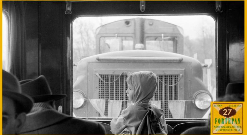 „Mindentől messze, a szívhez közel” – kanyargás a budai hegyekben az úttörő köztársaságtól a gyermekvasútig