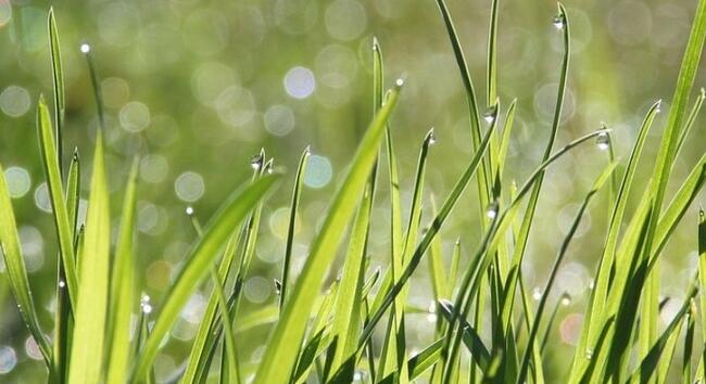 Megdőlt a hajnali hidegrekord szombaton