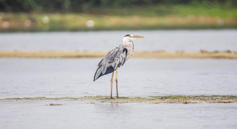 Hatalmas tó jelent meg a Hortobágyon, kiderült, így került oda a rengeteg víz