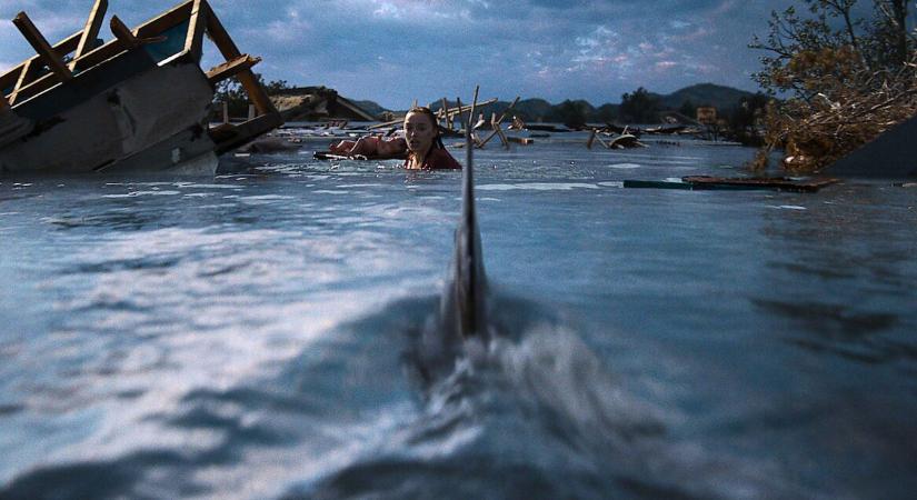 Haragos természet-kritikák: Érdemes volt várni a Netflix új, cápás túlélőthrillerjére? Mától nézheted!