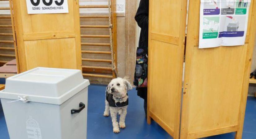 Senki ne dőljön be ennek a választási álhírnek