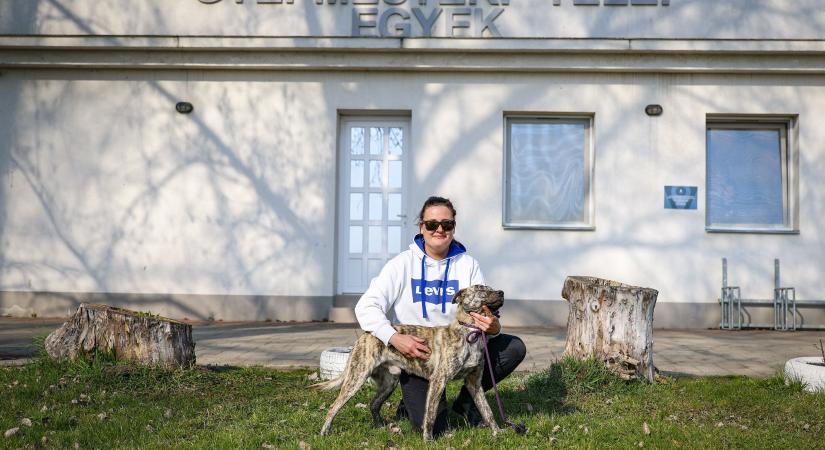 Egyekről indulhat a kutyák új élete