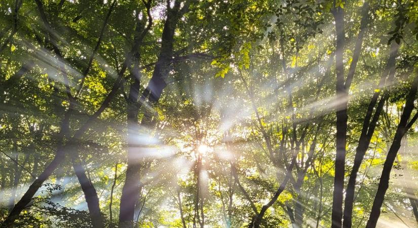 Ébred a természet – és vele együtt mi is