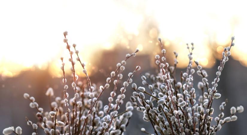 Vasárnap már kellemesebb arcát mutatja az időjárás