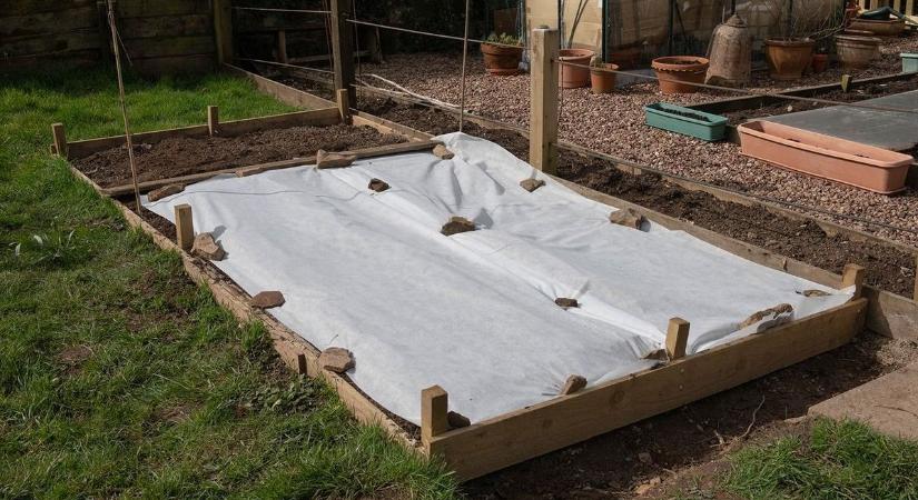 Egy éjszaka és oda a kert: filléres trükkökkel védenéd meg a palántákat a tavaszi fagytól