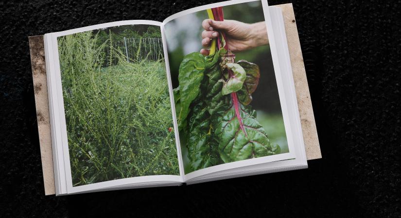 A régire építeni az újat – mit tanít nekünk a Salt étterem könyve?