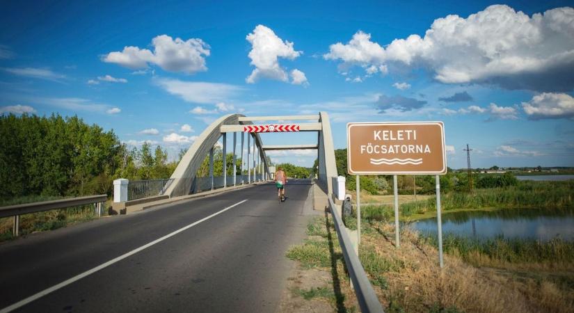 A ritkák közt is a legritkább halat fogták ki a Keleti-főcsatornából – fotóval!