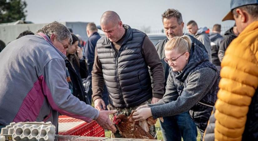Razzia a borsodi piacokon és faiskolákban: megsemmisített áru és százezres bírság