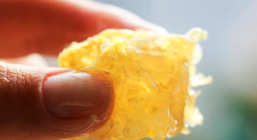 Teljesítménytúrára készülsz? Méz lesz nálad?