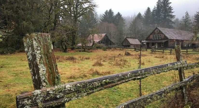 Meglepő árak Fejérben: ennyiért lehet most tanyát venni, de van pár buktató, ami gyorsan lenullázhatja az álmot