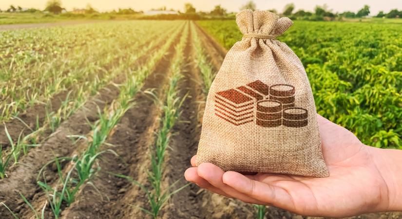 Brutális drágulás a műtrágyapiacon: mi lesz így a gazdákkal?