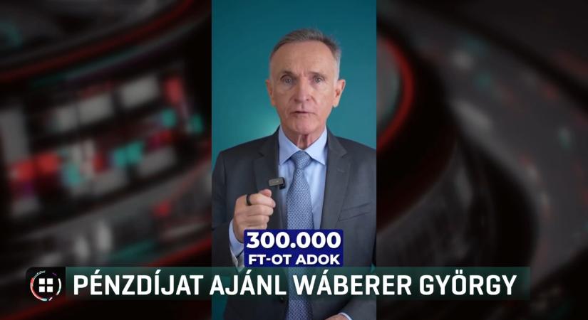 Wáberer György fizet annak, aki választási csalást buktat le