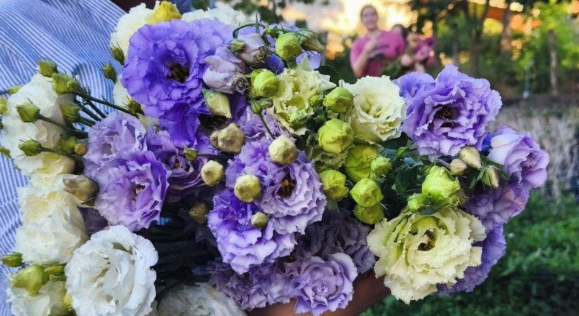 Virágvarázsló Martonvásáron