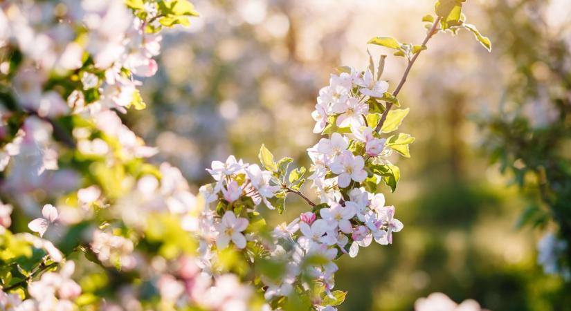 Napos, kellemes idő várható a hét utolsó napján