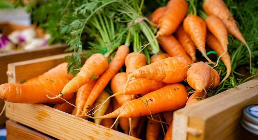 Sárgarépa vetése: így lesz szép, egyenes és erős a gyökér